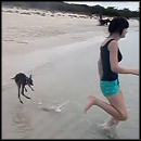 Little Baby Kangaroos Bounce Around the Beach
