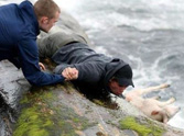 Incredible Rescue of a Lamb in Danger - You Have to See This One!