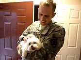 Princess the Puppy Goes Crazy When her Soldier Daddy Returns - Heartwarming!