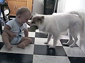 What This Dog Teaches a Baby Will Make Your Day - LOL, Click Here!