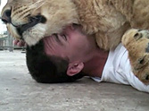Man Adorably Cuddles with a Lovable Lion - Watch the Amazing Video