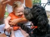 Laughing Baby and Begging Dog Will Make Your Day - Watch What They Do!