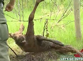 Crying Baby Moose Gets Caught in Barbed Wire - But a Hero Comes Along