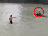 Frightened Dog Gets Trapped in the Middle of a River - But Watch This!
