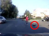 Watch How This Clever Cat Uses the Crosswalk - LOL, Click Here