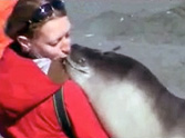 Seal Meets a Girl and Falls in Love With Her - So Cute ♥