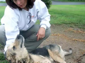 Woman Goes to Jail For Saving a Chained, Dying Dog - a Must See Video
