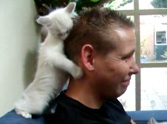 Tiny Ragdoll Kitten Gives a Boy a Big Hug - Aww, You'll Love This