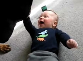 The Best Compilation of Babies and Dogs - This Will Make You Smile :)