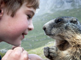 Young Befriends the Strangest Animals - Marmots! Aww :)