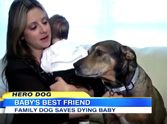 A Dying Baby is Saved by a Dog the Family Rescued - Unbelievable Video