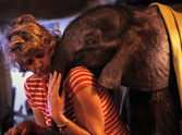 13 Pictures of an Orphaned Elephant Will Melt Your Heart - a Must See