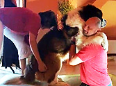 Adorable HUGE Dog Is Too Scared to Go Downstairs - You Won't Believe How He Gets Down :)