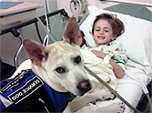 Dog Scheduled to Die Became the Guardian Angel of a Special Little Boy - Amazing Story
