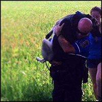 Heroic Police Officer Carries Injured Dog to Safety - Incredibly Touching Scene
