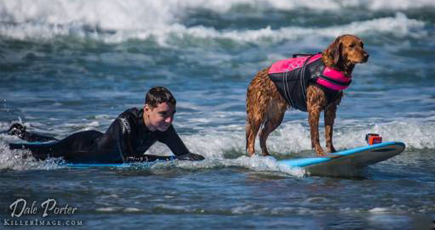 A Surfing Dog Brings Joy to a Terminally Ill Teen