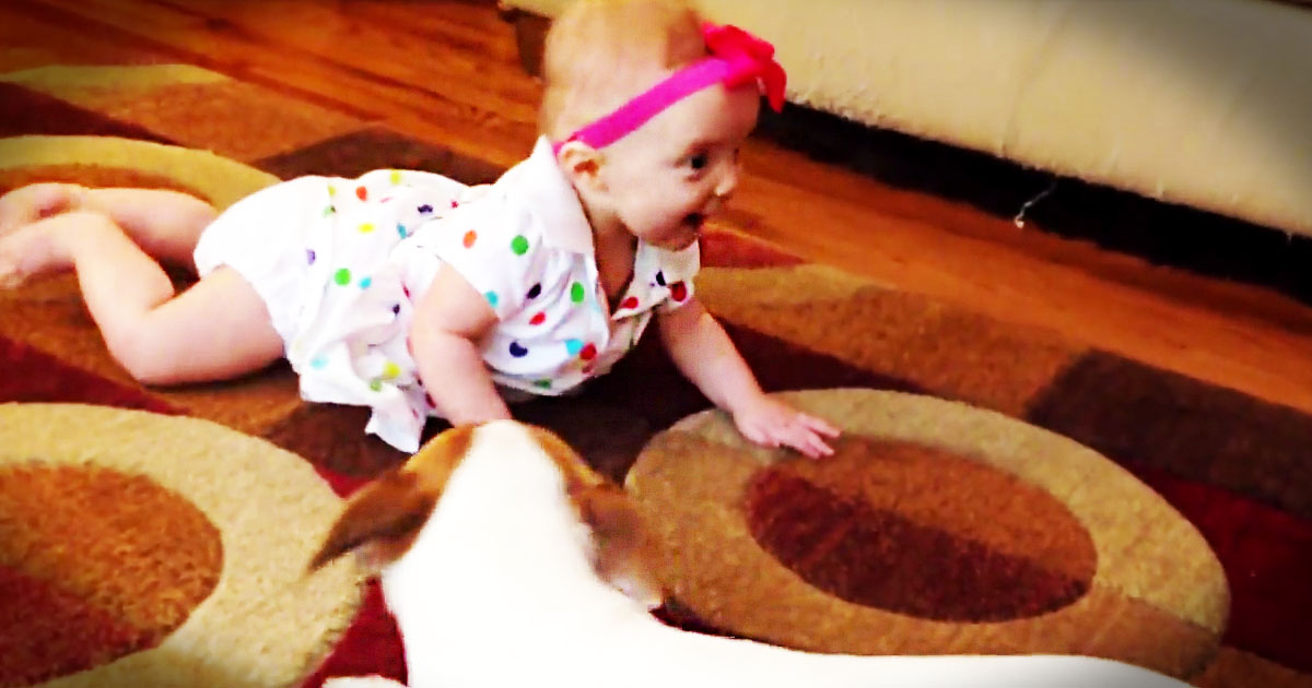 I Didn't Think This Baby's Crawling Lesson Could Get Any Cuter. Until I Saw Her Teacher--So Cute!