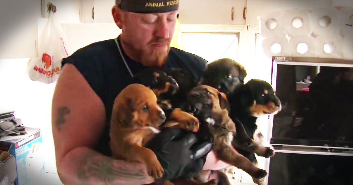 You Won't Believe How These Poor Critters Lived. Until This 1 Dramatic Rescue Saved 100s of Them!