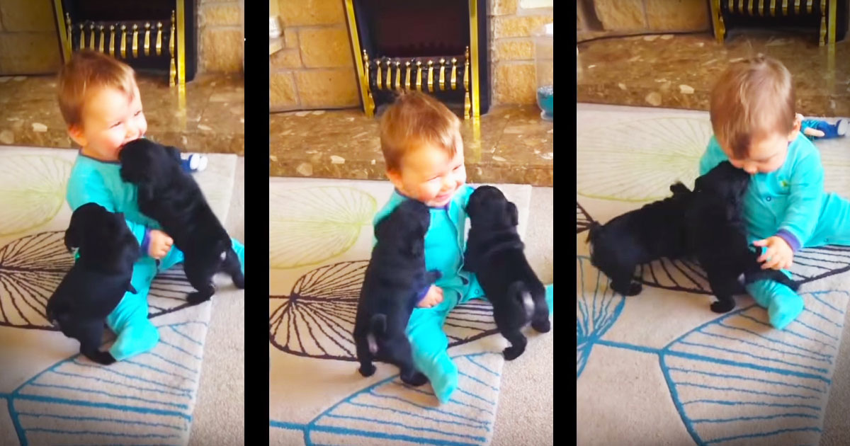 Baby Louie And Puppy Best Friends Will Make Your Day! 