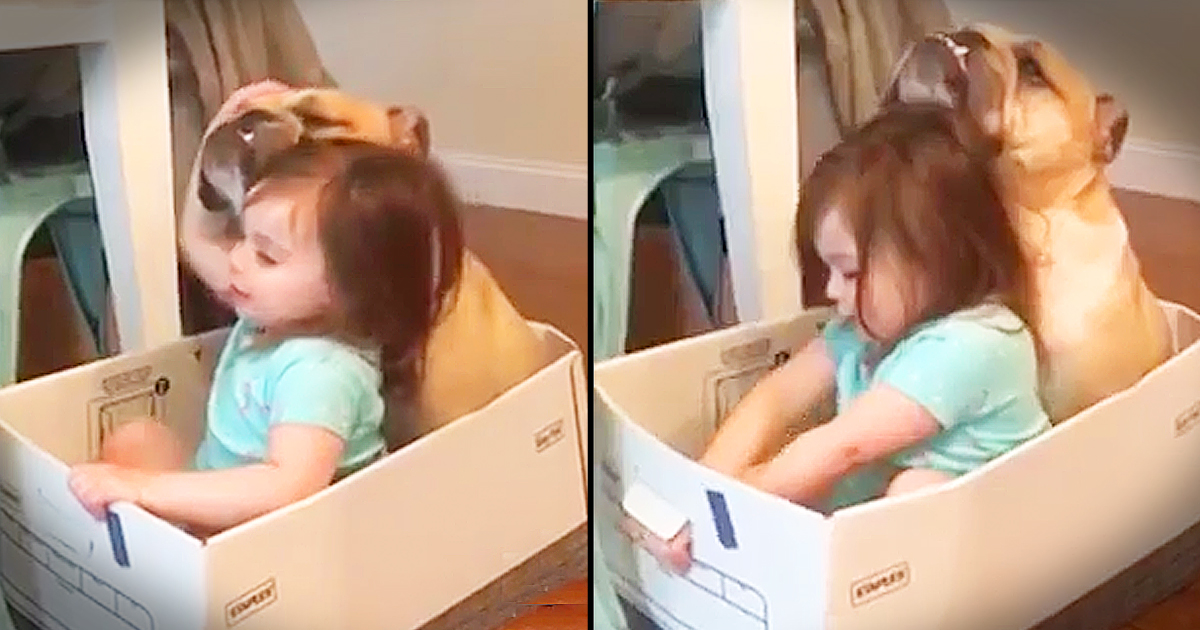 Little Girl And Her Puppy Sing 'Row, Row, Row Your Boat'