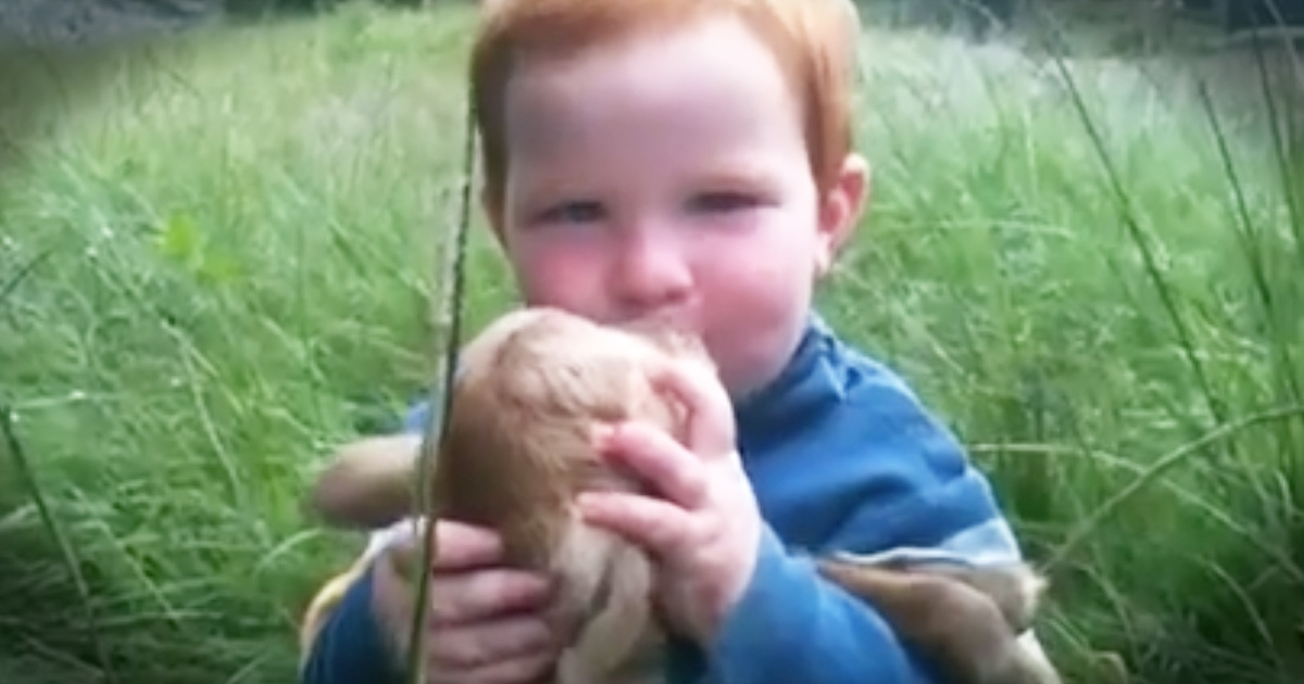 Adorable Little Boy Showers Baby Goat With Kisses And Love