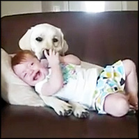 Best Compilation Video of Babies Laughing at Dogs