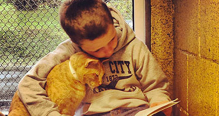 Kind Children Read to Kitties at This Animal Shelter - Too Sweet for Words