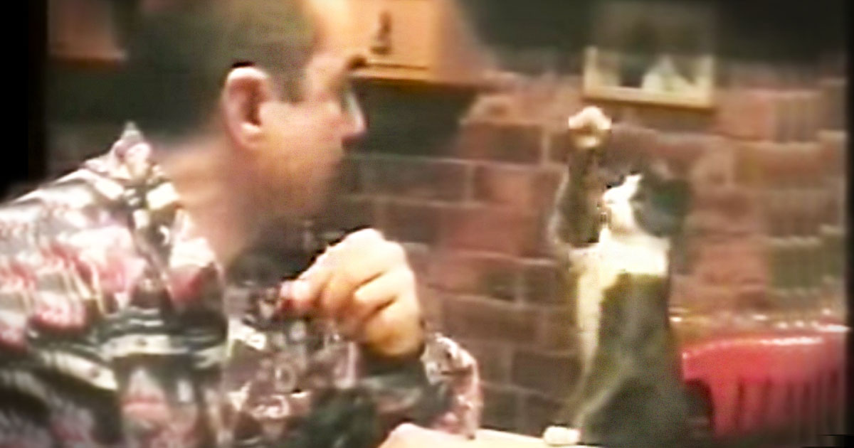 When I Saw HOW This Kitty Asks For Food I Was Stunned. WHY She Does It Will Melt Your Heart!