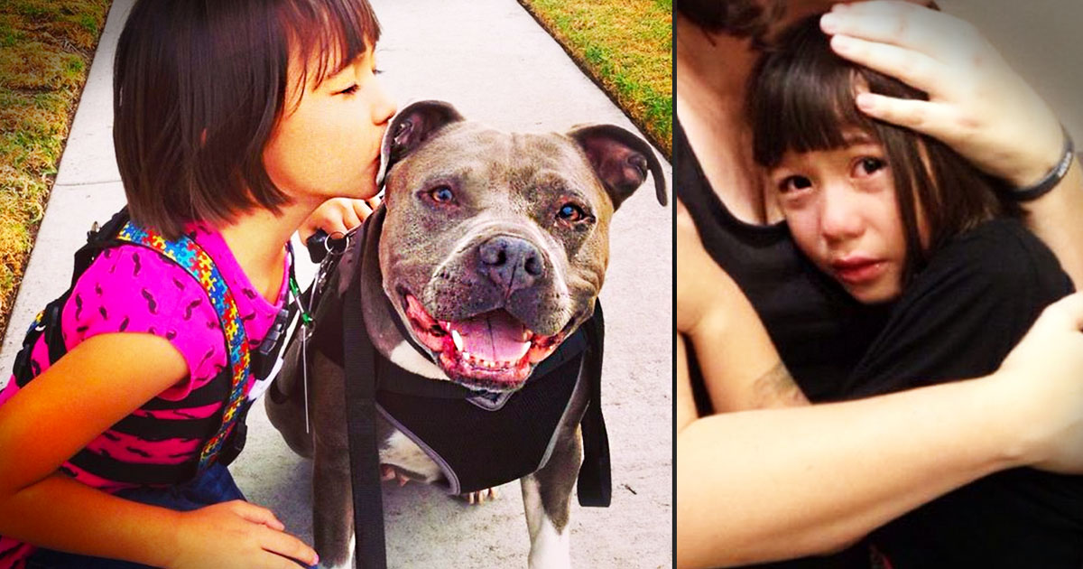 Santa Rejected Girl With Autism Because of Her Pit Bull Service Dog