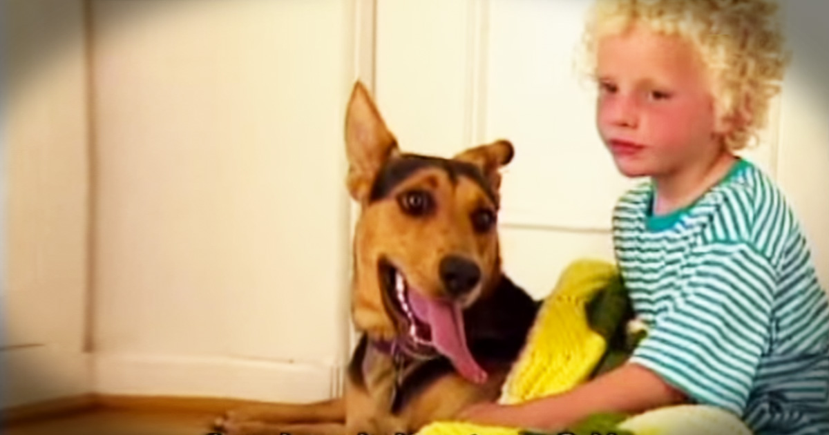 Unlikely Dog Changes The Life Of A Struggling Little Boy