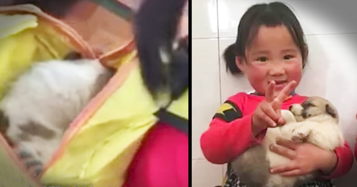 Kindergartener Hides Stray Puppy In Her Backpack 