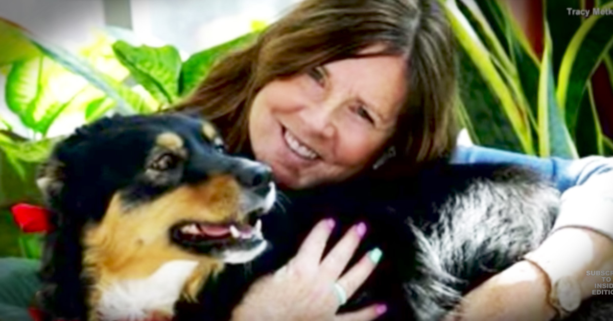 Woman Almost Dragged To Death Is Rescued By Her Dog